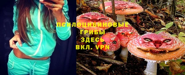 герыч Богородск