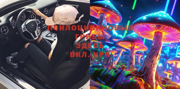 эйфоретик Богородицк