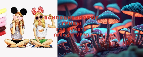 герыч Богородск