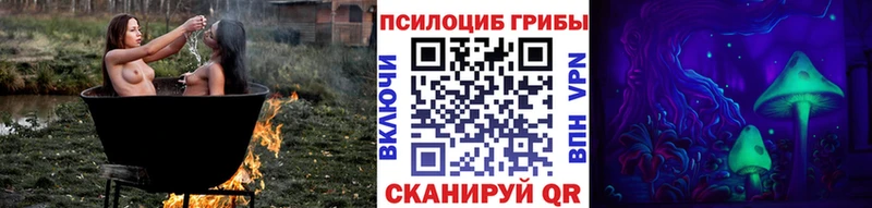 кракен ТОР  Долгопрудный  Псилоцибиновые грибы Psilocybine cubensis 